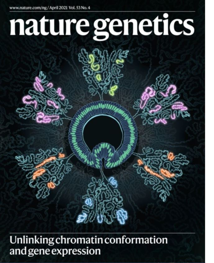 NatGeneticsApril2021.png