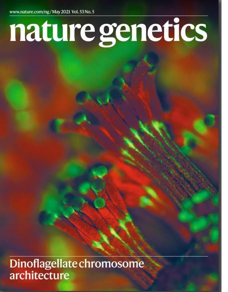 NatGeneticsMay2021W.jpg
